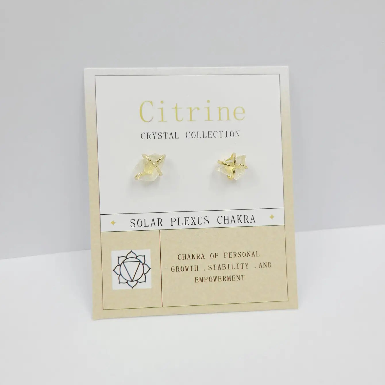 Birthstone Crystal Chakra Earrings - 12 Pairs